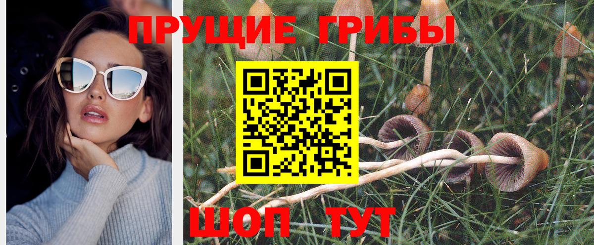 Псилоцибиновые грибы MAGIC MUSHROOMS Миллерово