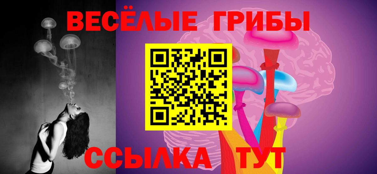 Галлюциногенные грибы Psilocybine cubensis  Галлюциногенные грибы мухоморы  Вход с VPN  Миллерово 